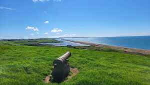 viewpoint from abbostbusry subtropical gardens includes cannon looking out to sea