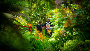 visitors exploring the subtropical gardens in summer