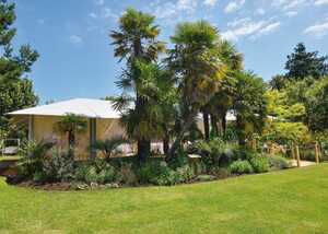 wedding marquee with tropical trees at abbotsbury