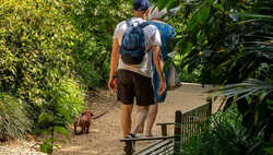 Dog-Friendly Days Out in Dorset