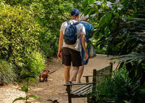 two visitors and a dog walking along a path at abbotsbury subtropical gardens two visitors and a dog walking along a path at abbotsbury subtropical gardens