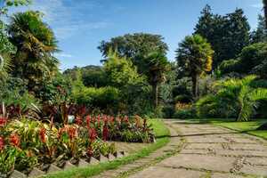 pathway leading through abbotsbury subtropical gardens