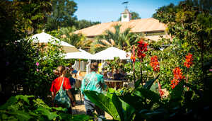 visitors gathered in outdoor seating area at abbotsbury subtropical gardens visitors gathered in outdoor seating area at abbotsbury subtropical gardens
