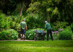 two gardeners and a wheelbarrow working at abbotsbury subtropical gardens two gardeners and a wheelbarrow working at abbotsbury subtropical gardens